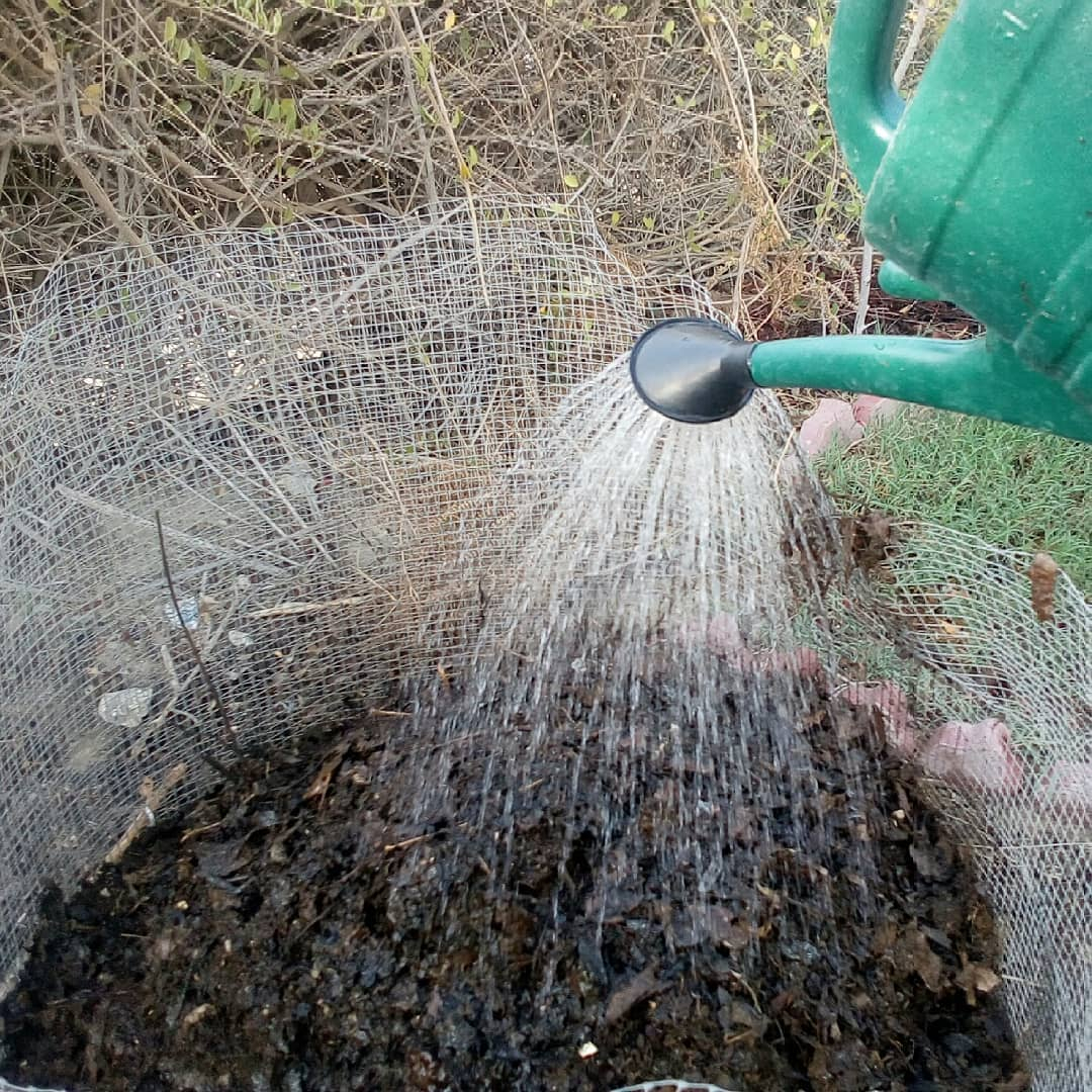You can moisten the compost by simply watering it by using the water can.