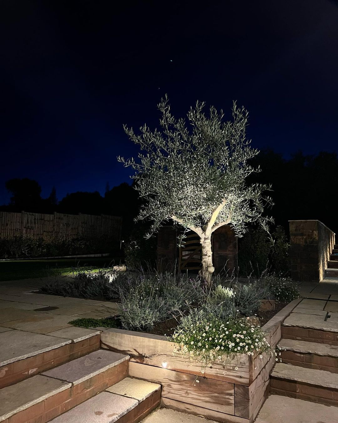 Look at the tree which is spotted with the spotlight. The simple common tree can be seen as aesthetic and magical.