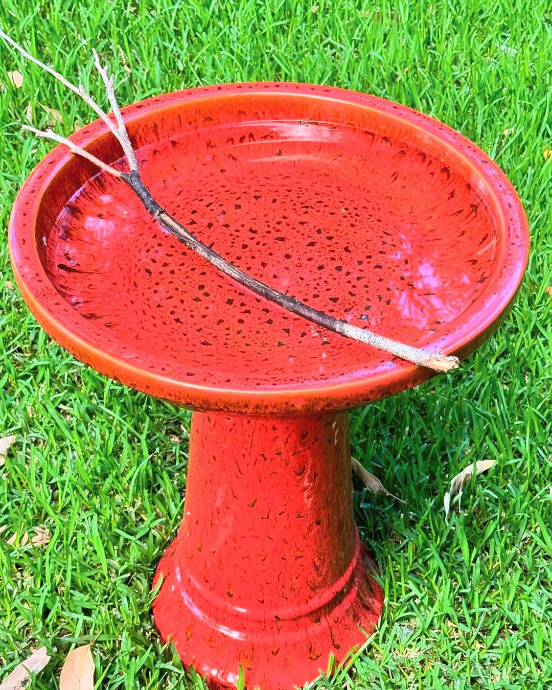 It is quite easy to provide a birdbath to your garden. You just have to provide such a big bowl.