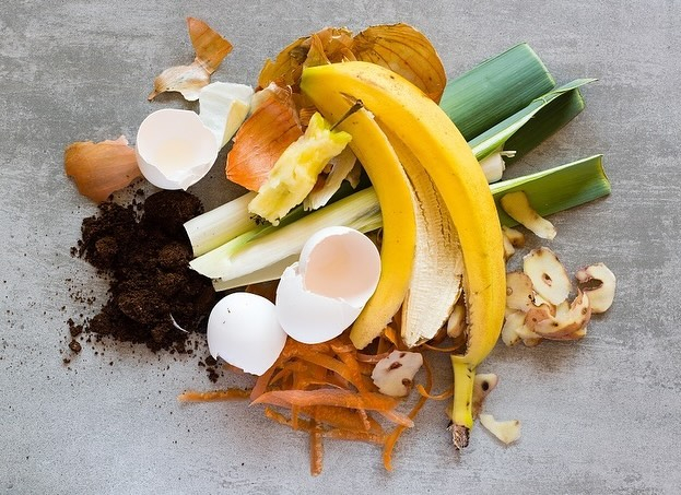 The organic waste here consists of eggshells, coffee, fruit scraps, and vegetable scraps.