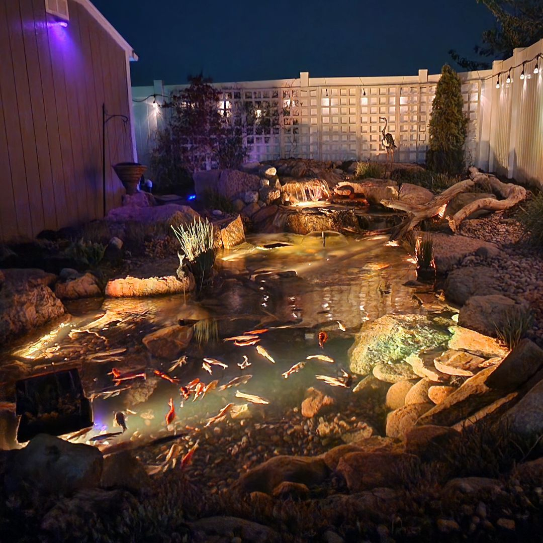 Look at how beautiful this pond is during the night with the underwater light.