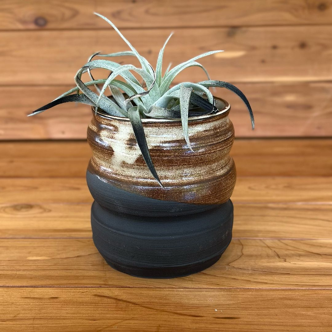 This luxurious gold planter is made of ceramic. Look at how adorable it can be.