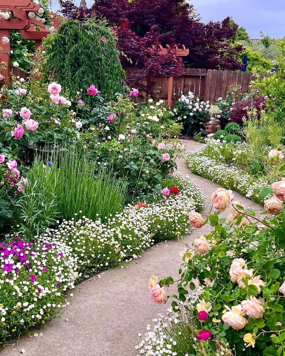 You can see it here where the flowers are planted based on their types and characteristics.