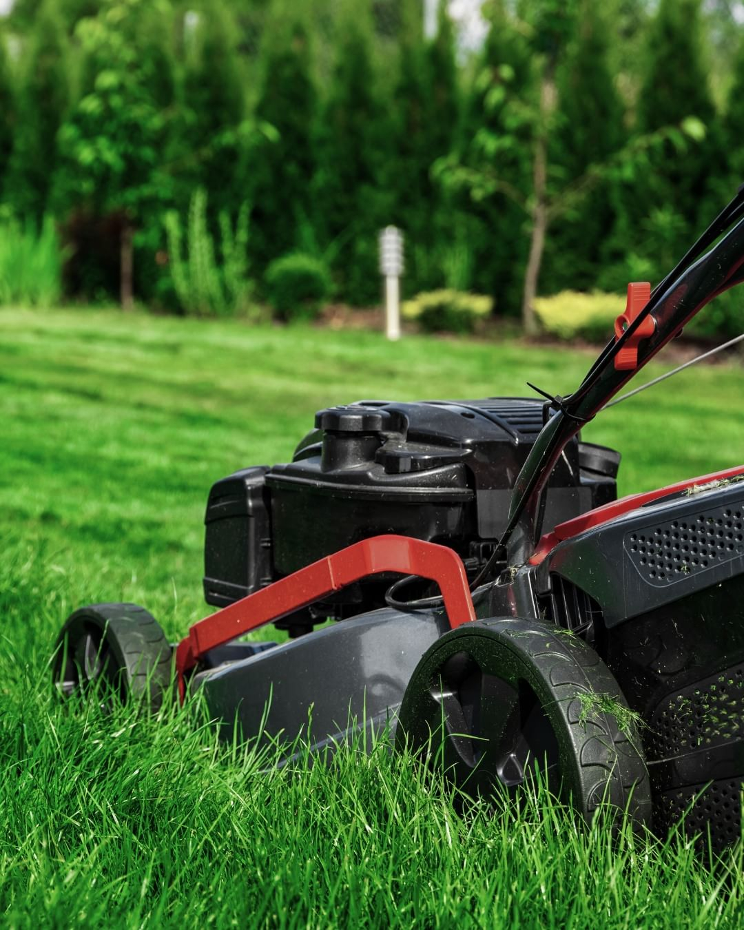 Mowing the lawn by using a mowing machine like this will be the easiest way that you can do.