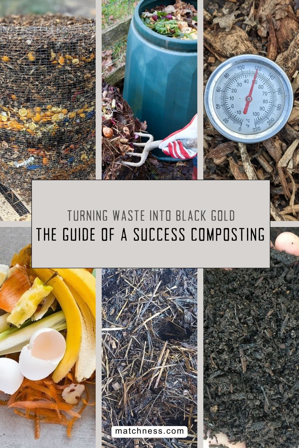 Turning waste into black gold the guide of a success composting
