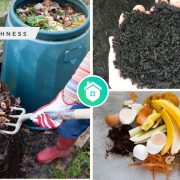 Turning waste into black gold- the guide of a success compostingfi
