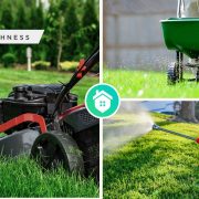 Ways to maintain your lawn to get the healthy and green onefi