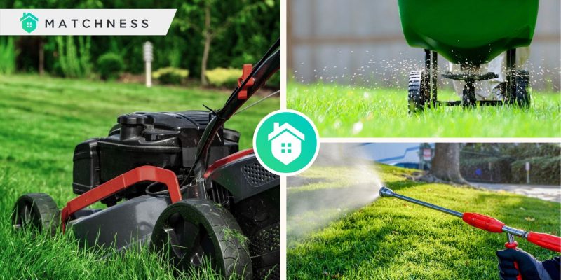 Ways to maintain your lawn to get the healthy and green onefi