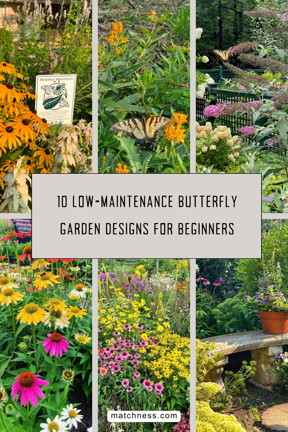 10 low-maintenance butterfly garden designs for beginners