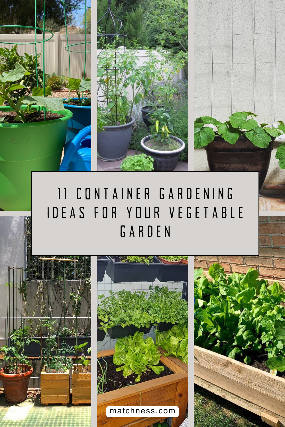 11 container gardening ideas for your vegetable garden