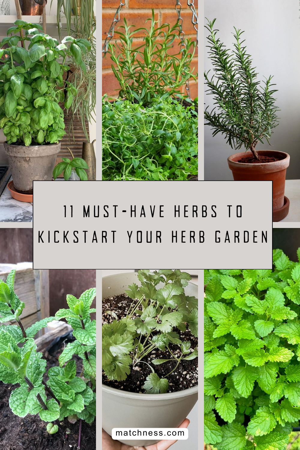 11 must-have herbs to kickstart your herb garden
