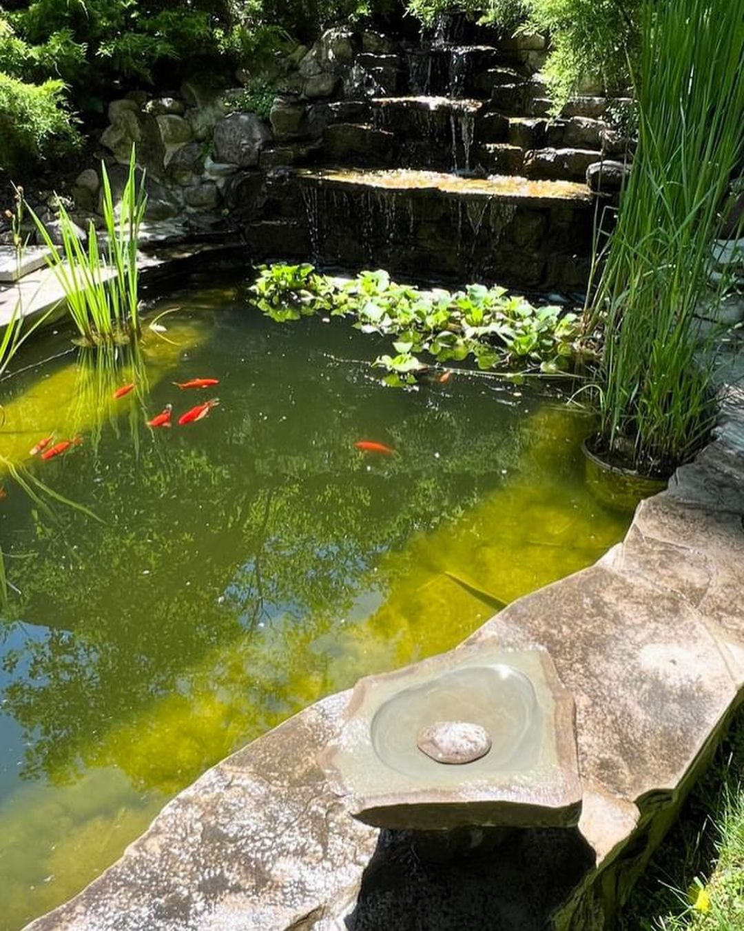 Decorative pond