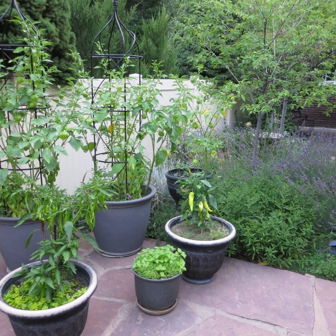 Different heights of pots