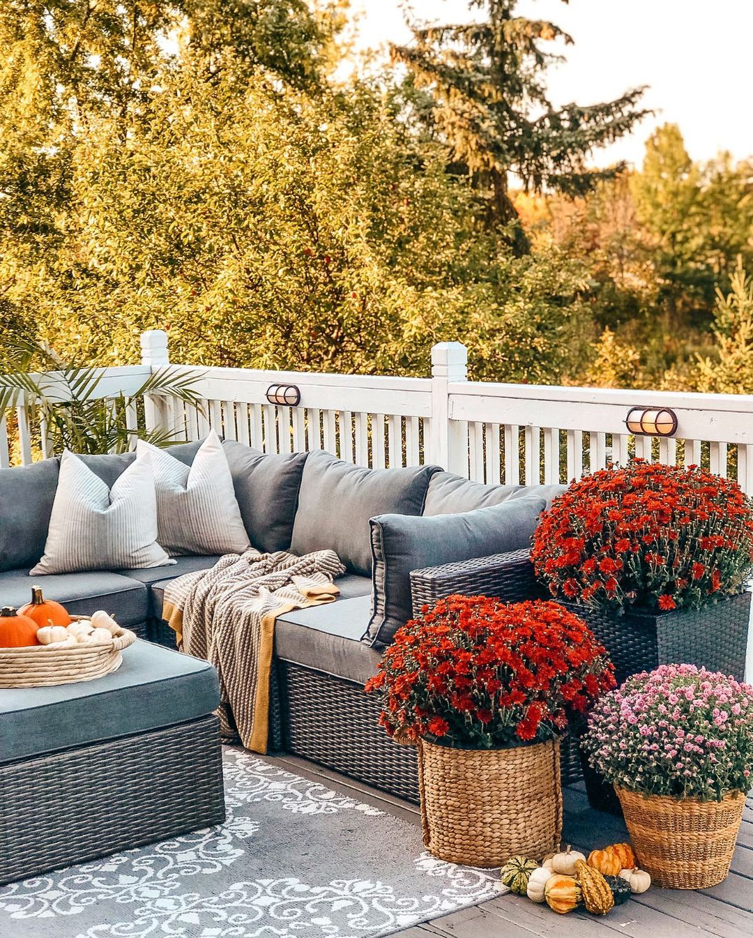 Fall flowers