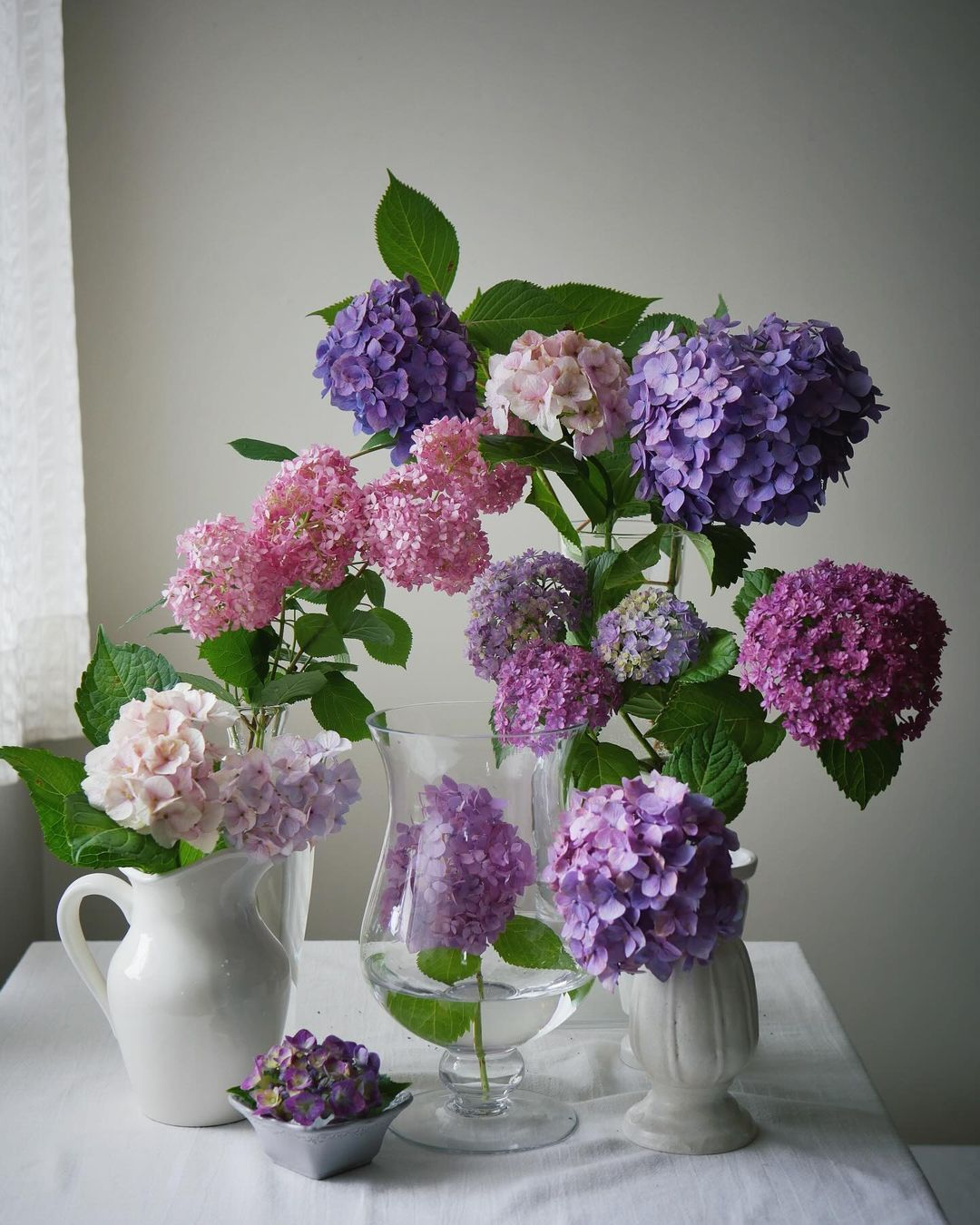Hydrangeas