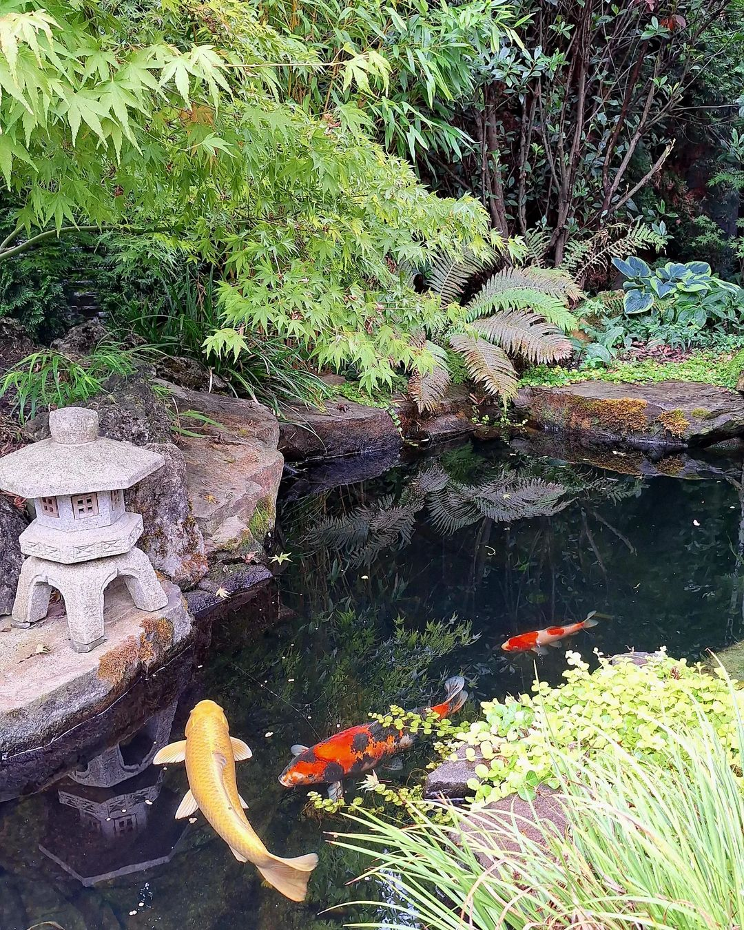 Japanese pond