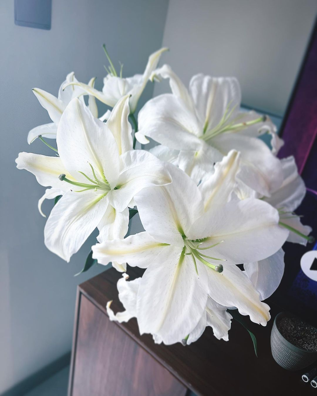White lilies