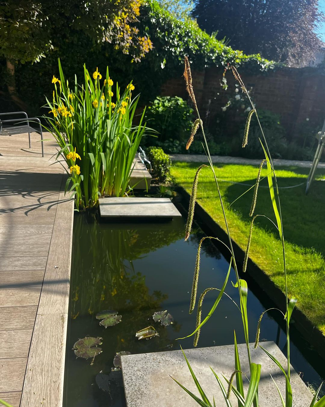 Modern pond