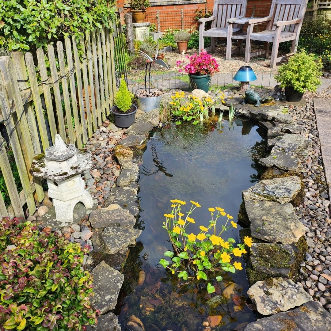 Natural pond