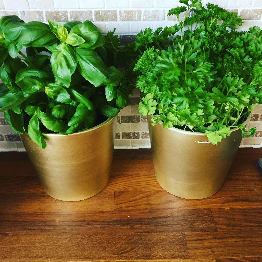 Parsley
