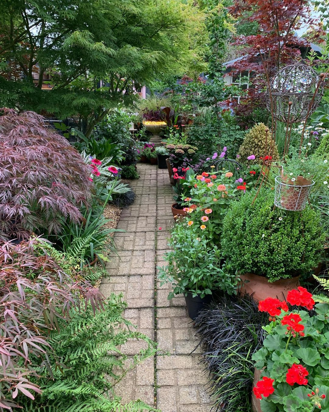 Plant-lined pathway