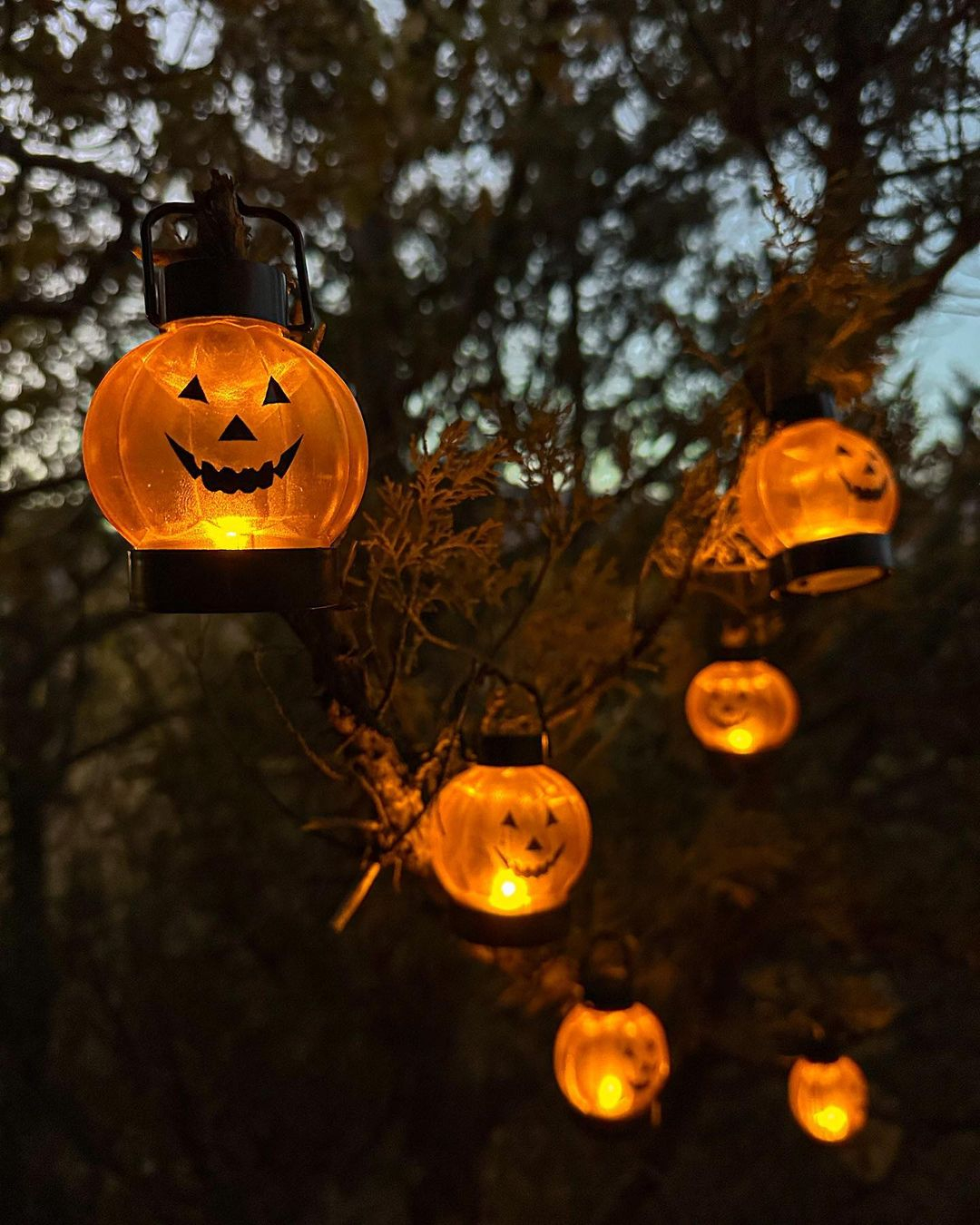 Pumpkin-shaped lanterns
