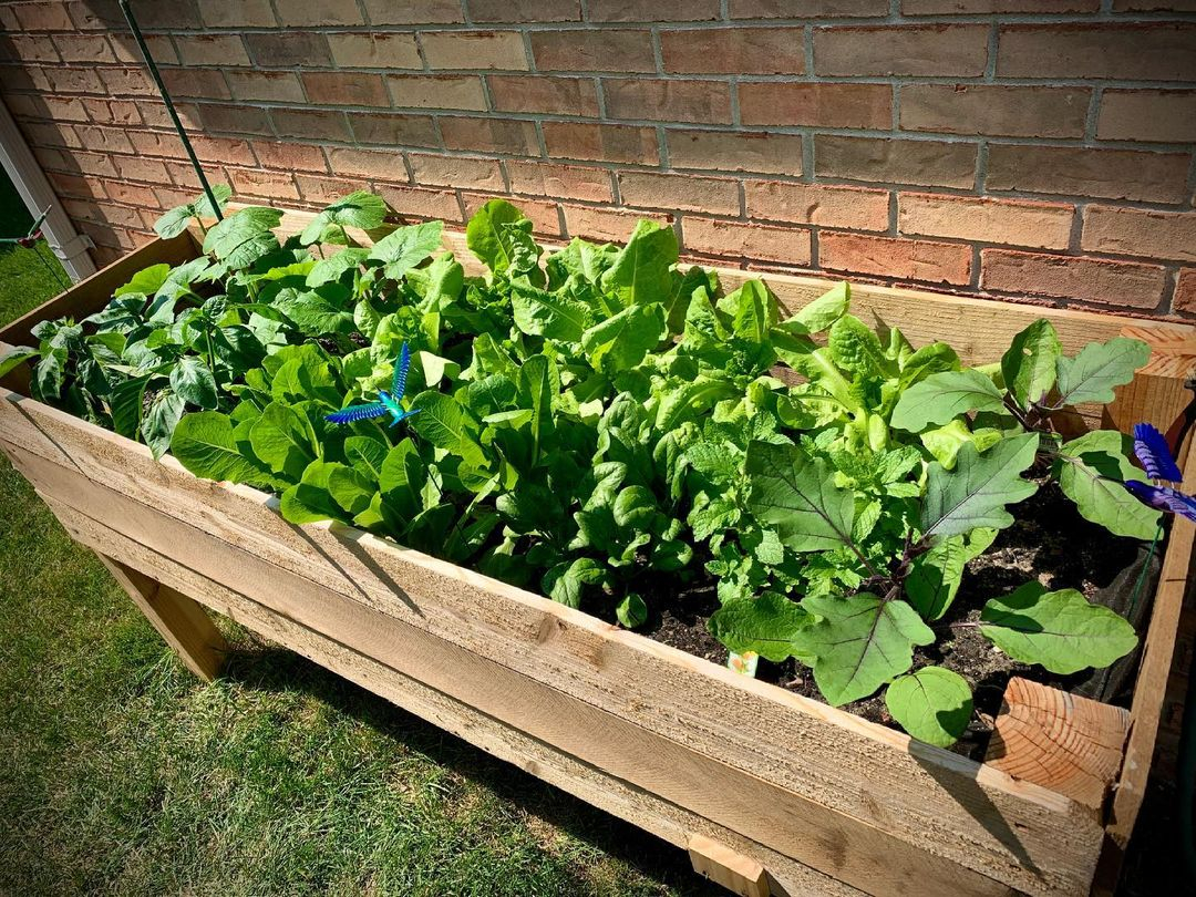 Raised bed