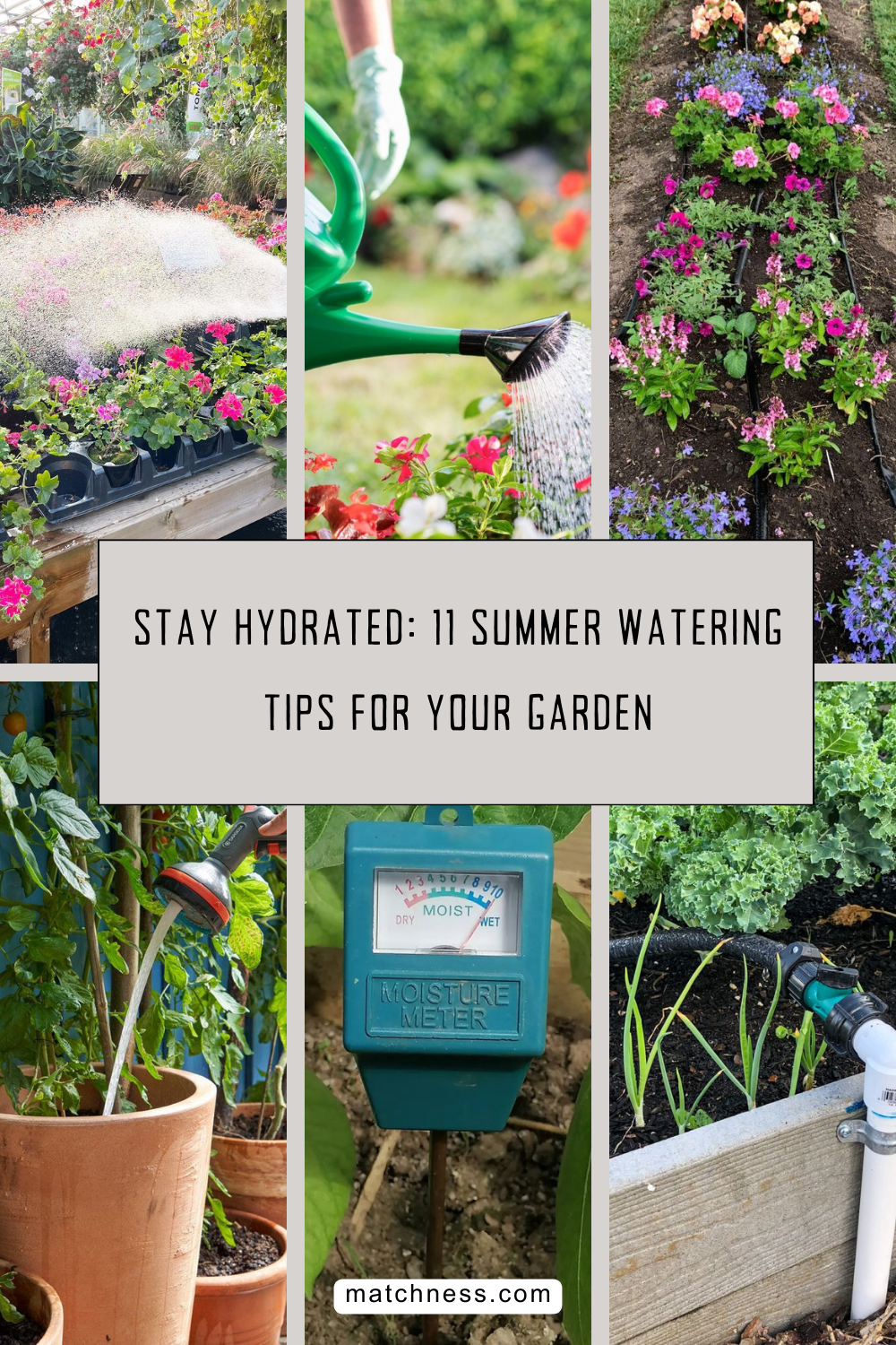 Stay hydrated 11 summer watering tips for your garden