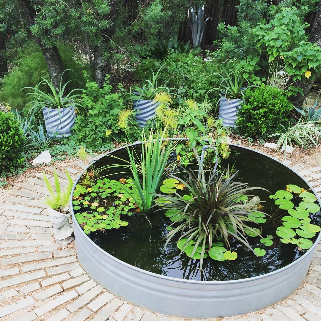 Stock tank pond