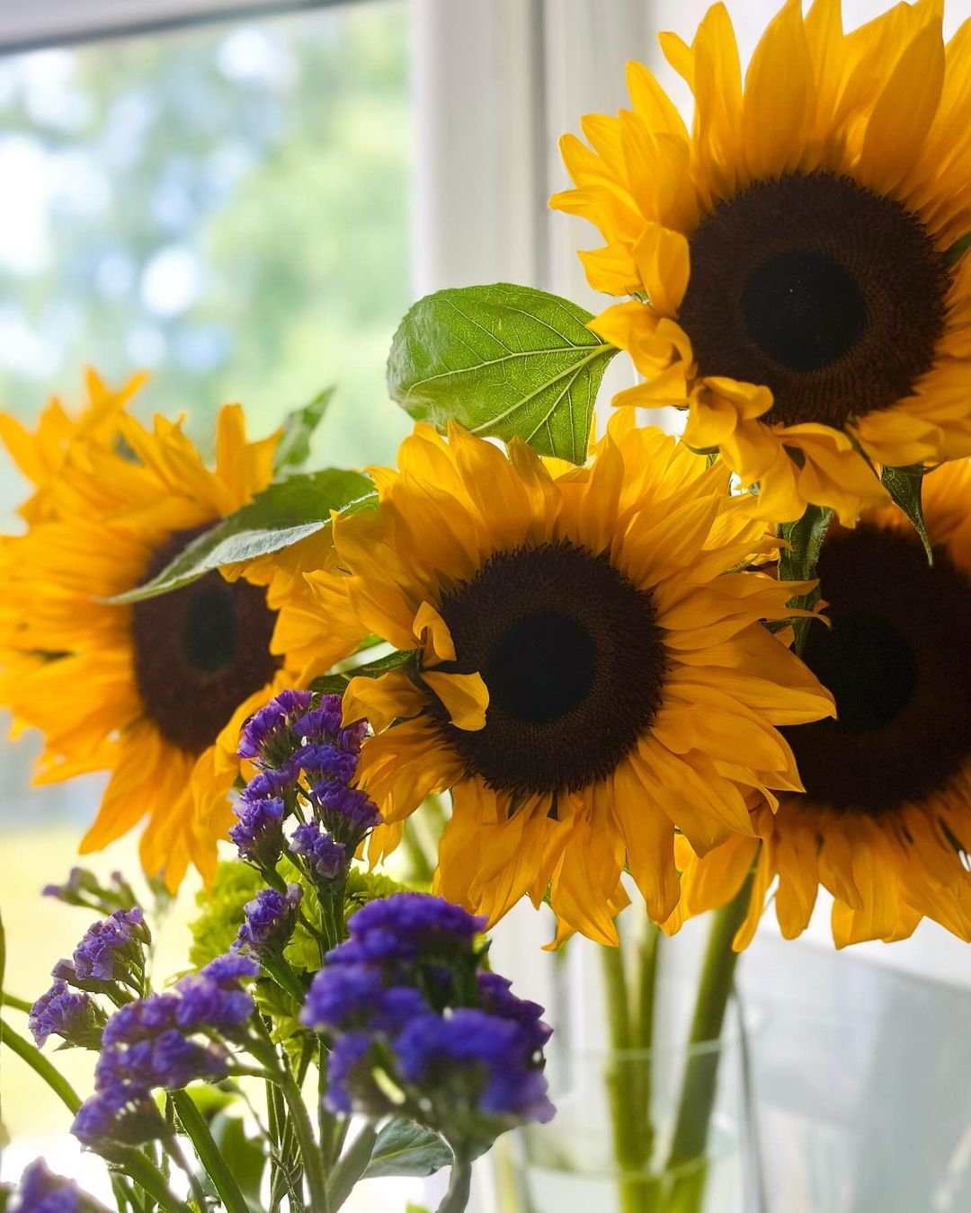Sunflowers