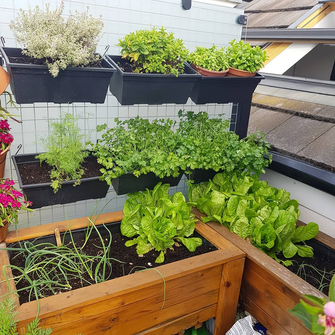 Vertical garden