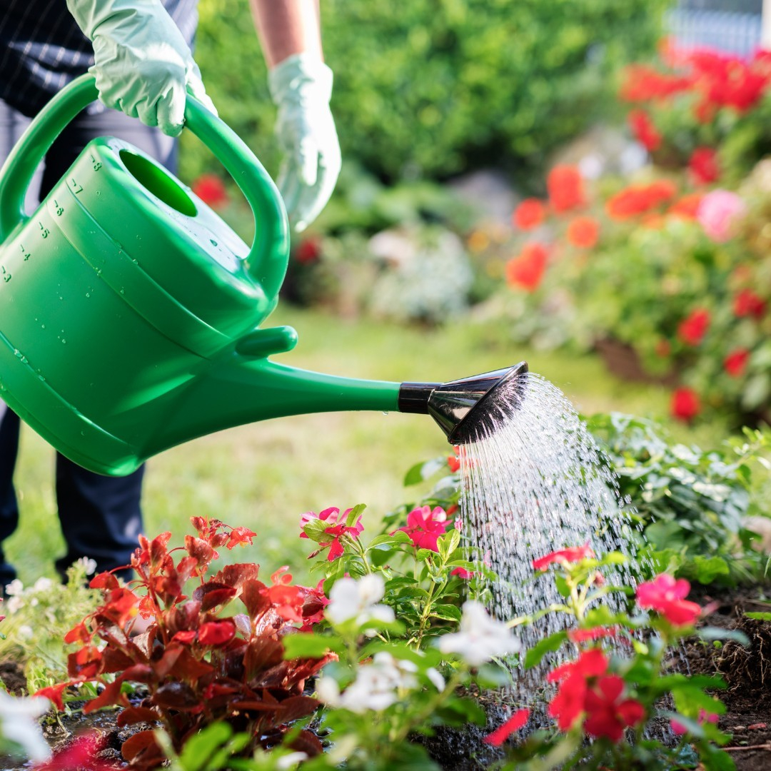 Watering schedule