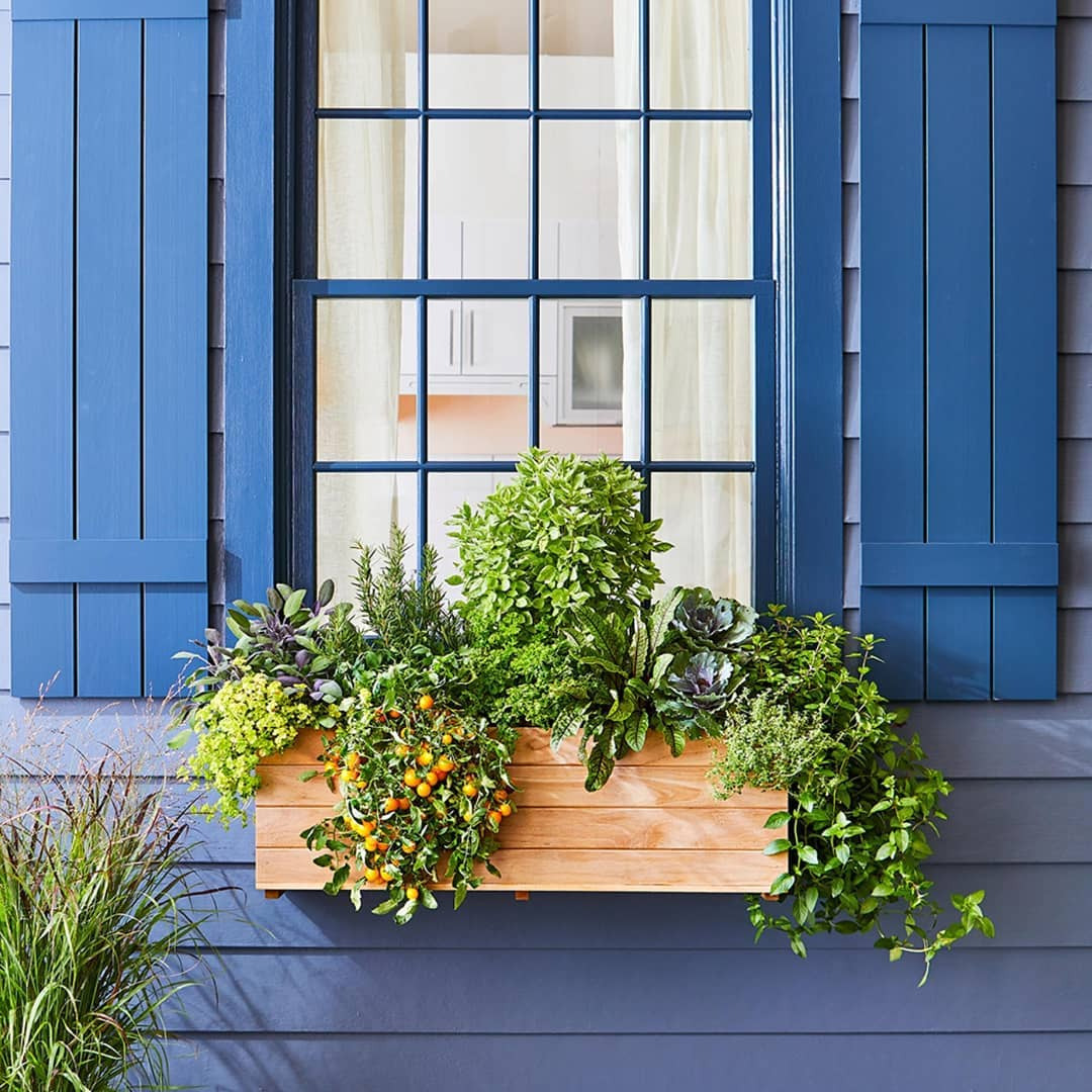 Window box