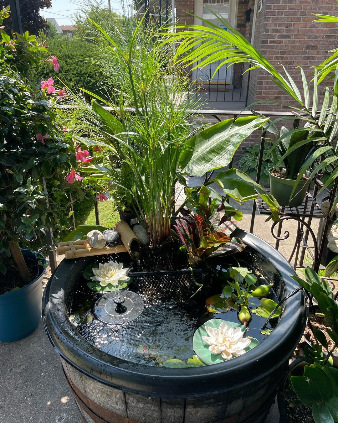 Wine barrel pond