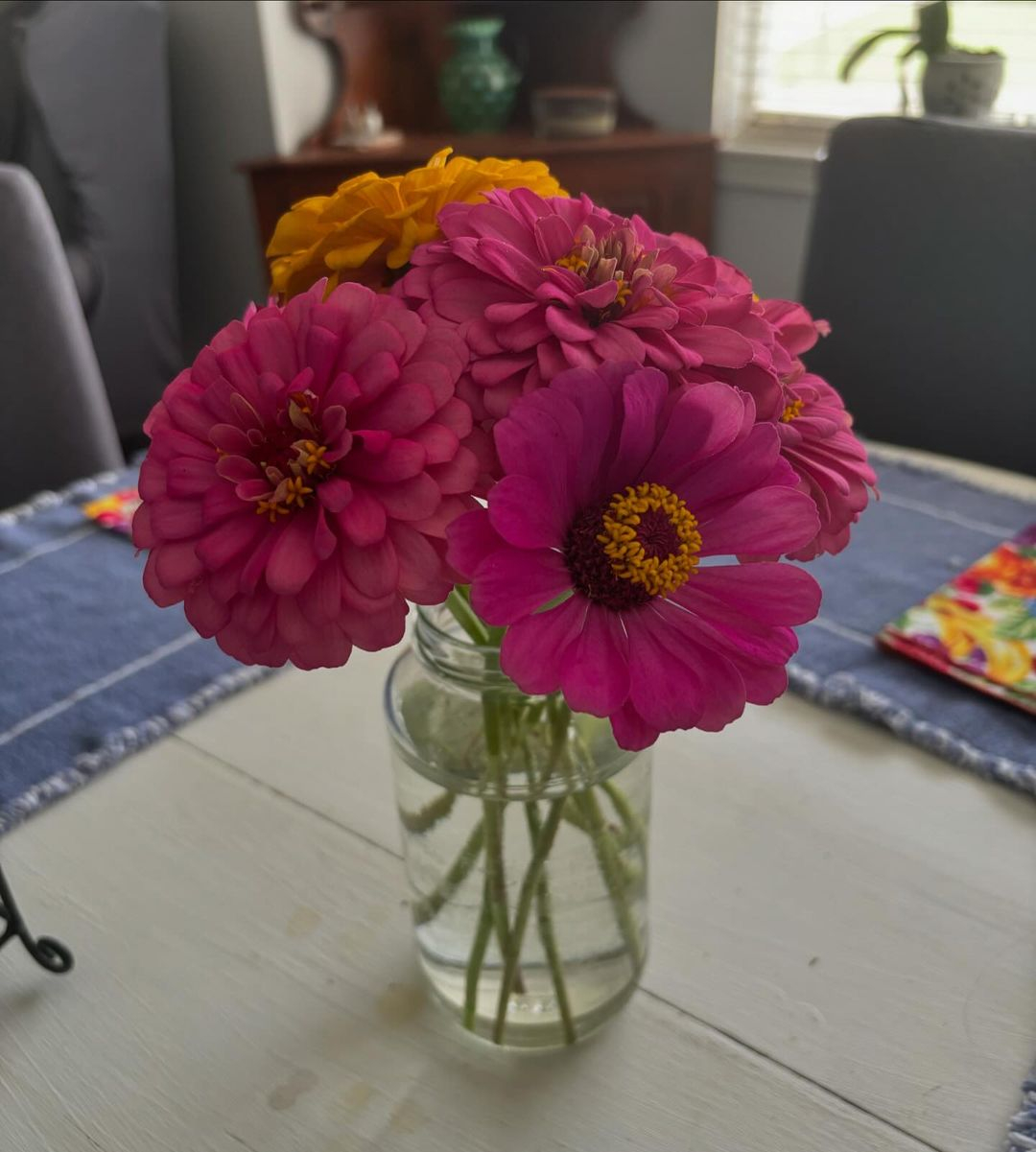 Zinnias