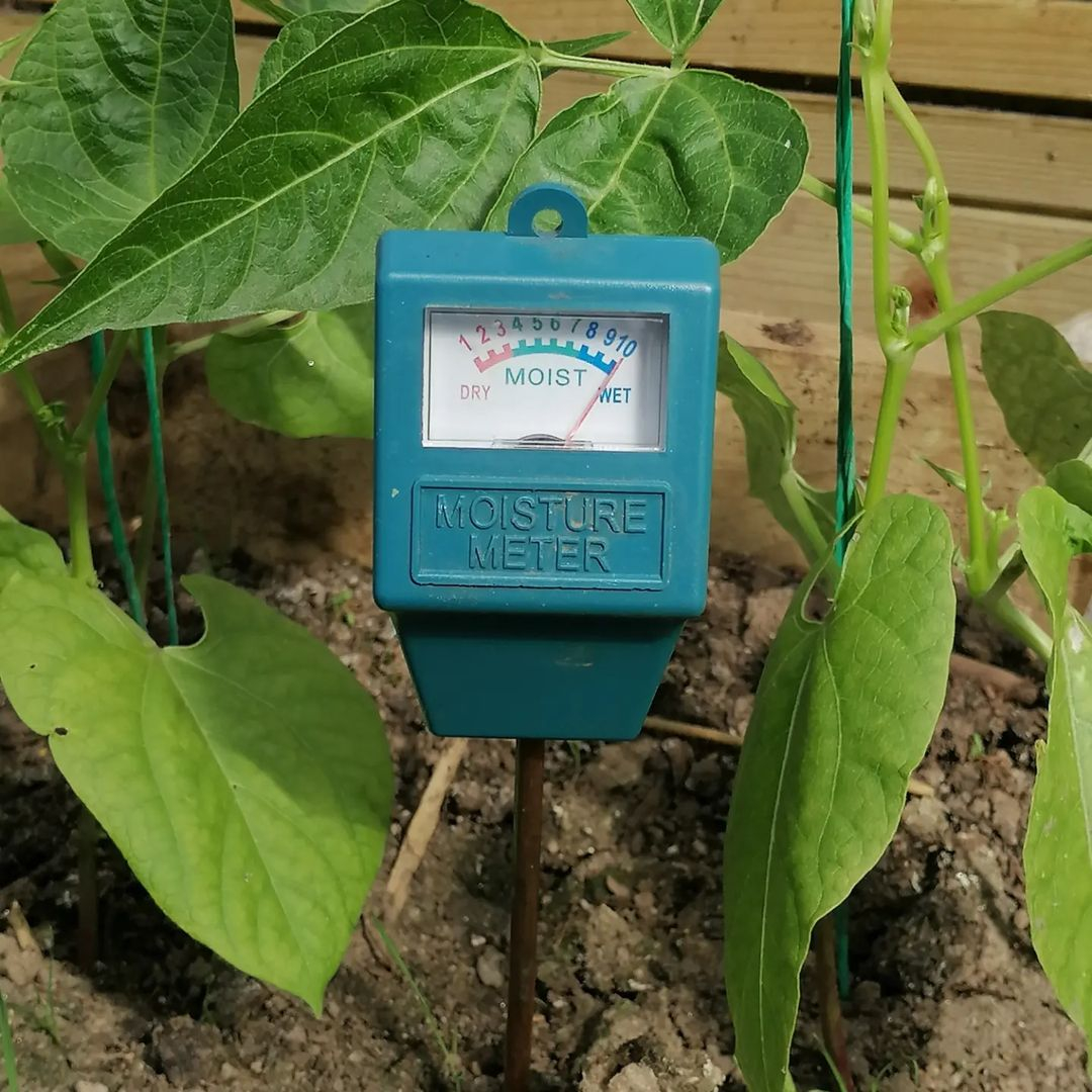 Soil thermometer