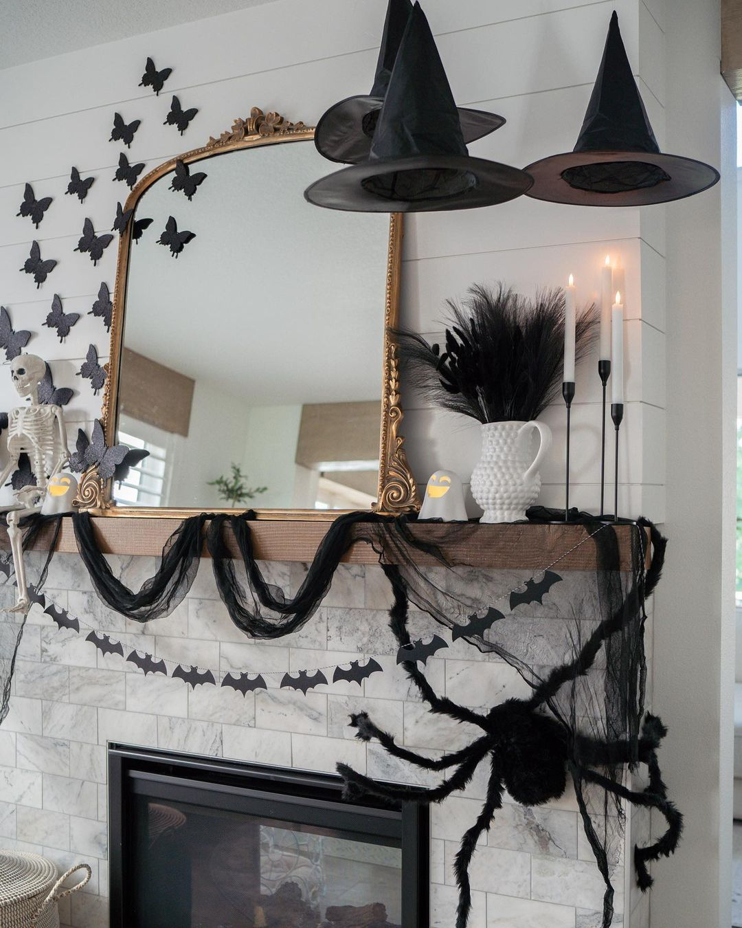 Cobwebs and spiders