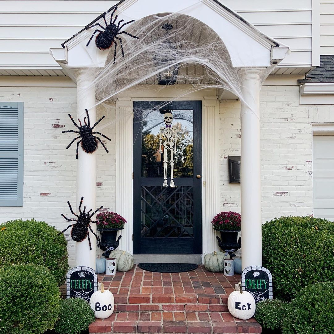 Giant spider webs and spiders