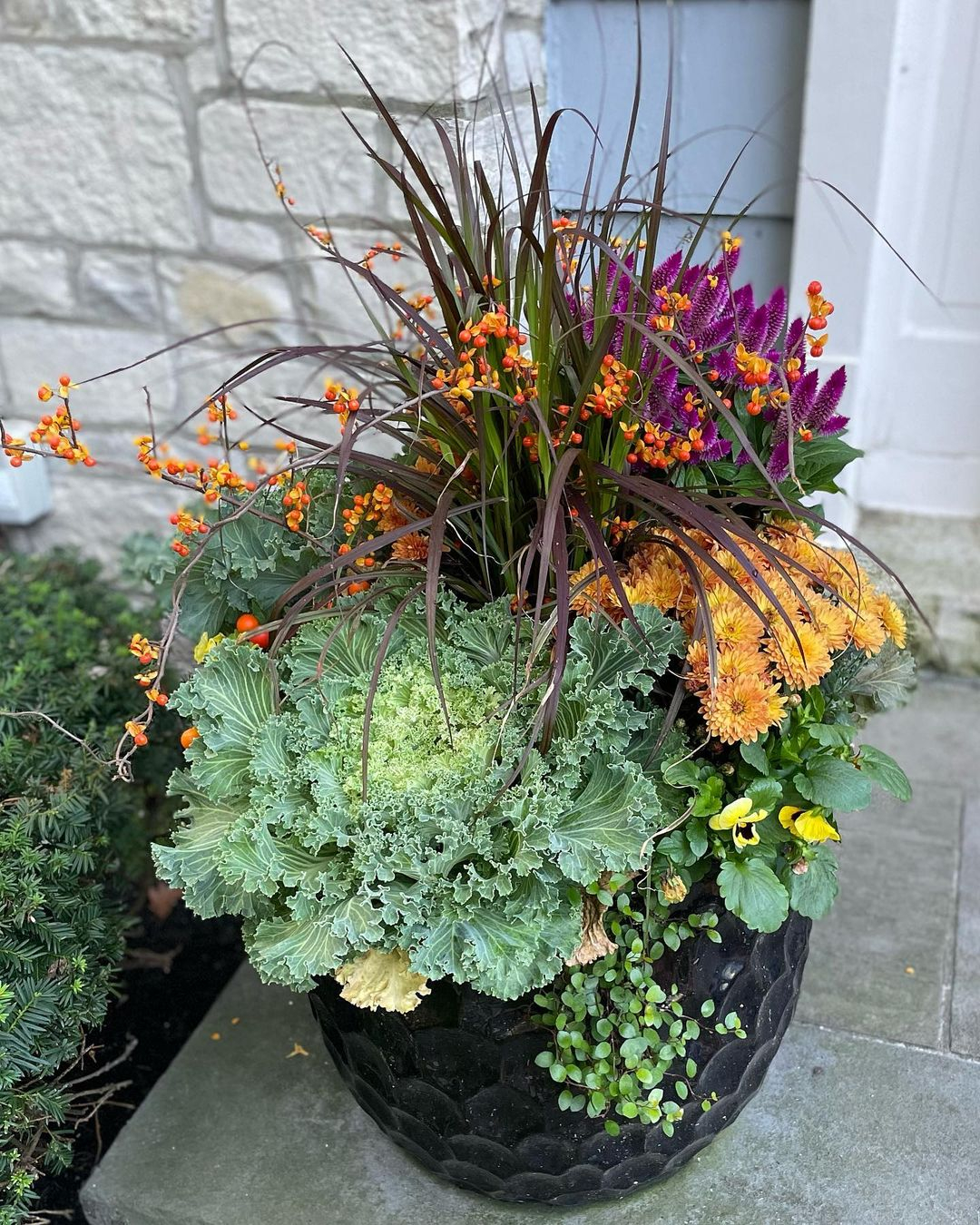 Mix plants
