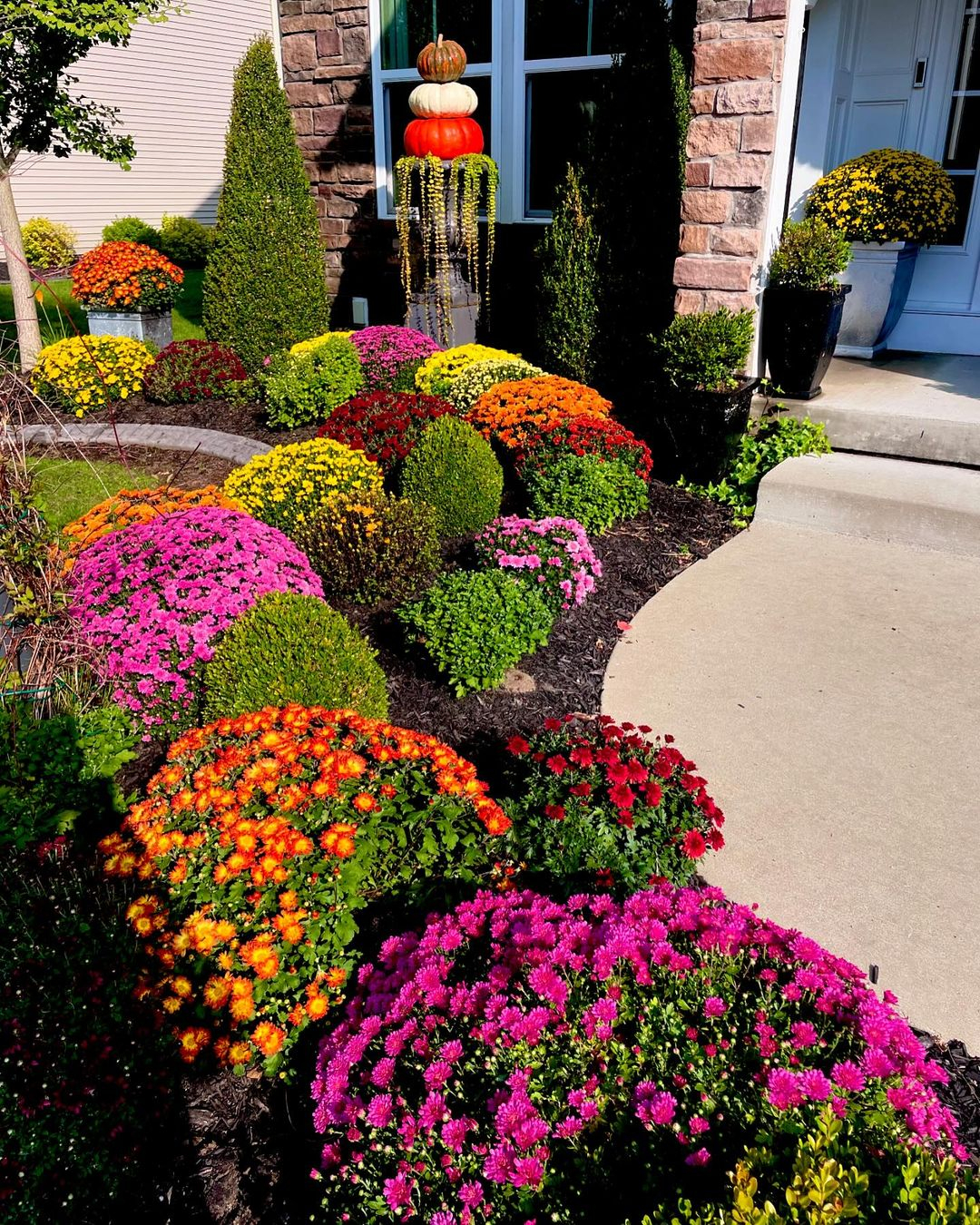 Mums flowers