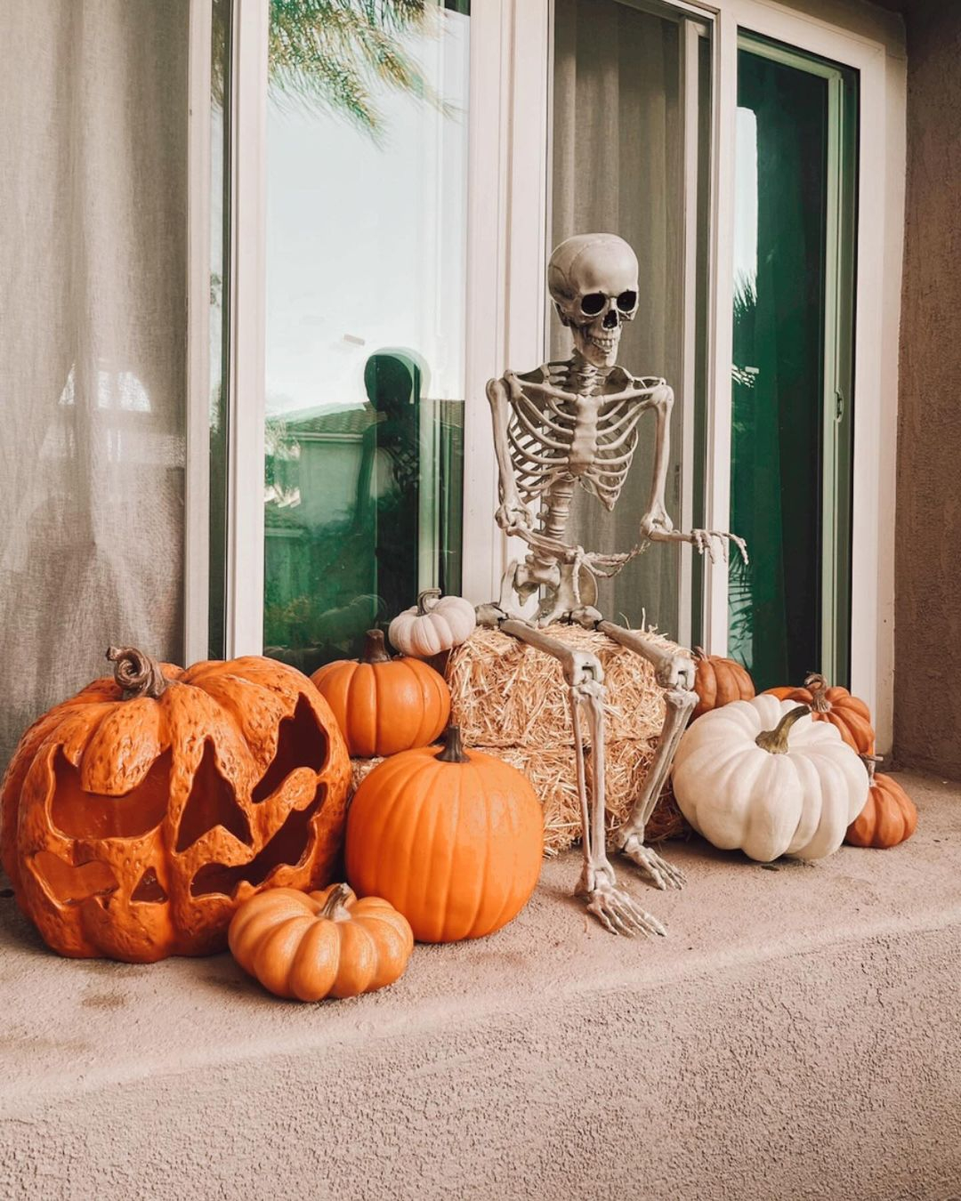 Skeleton