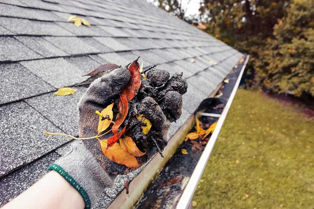 Cleaning the gutters