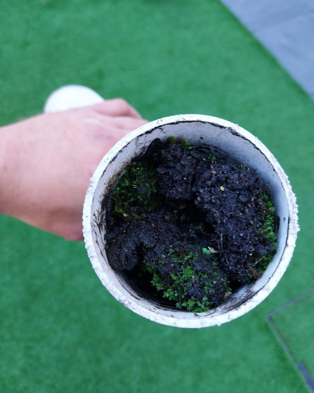 Downspout check