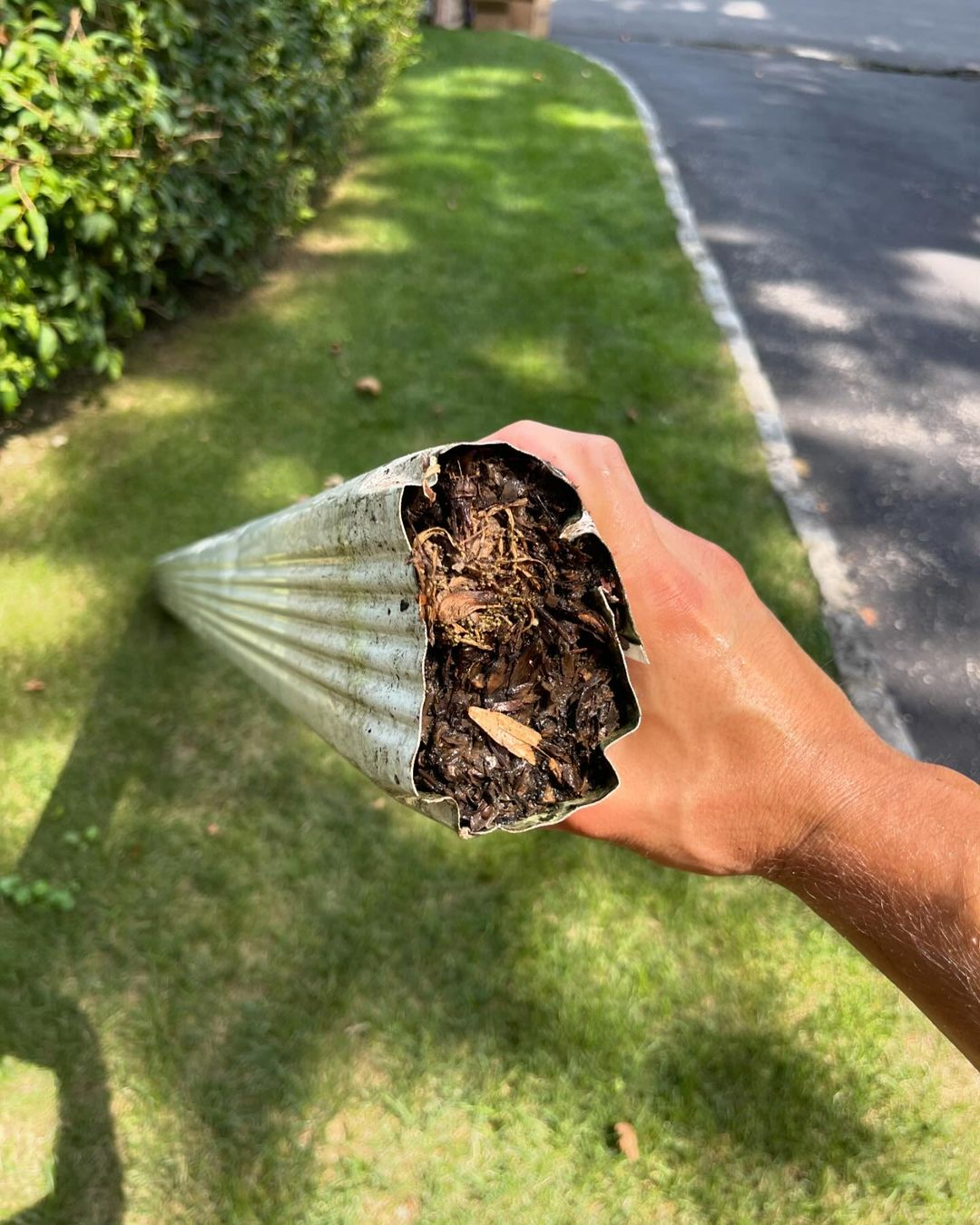 Downspout check