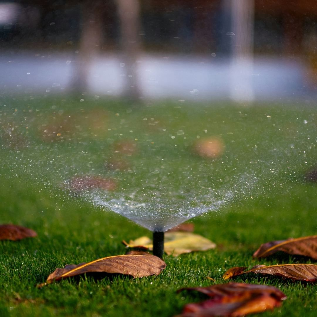 Fall lawn watering