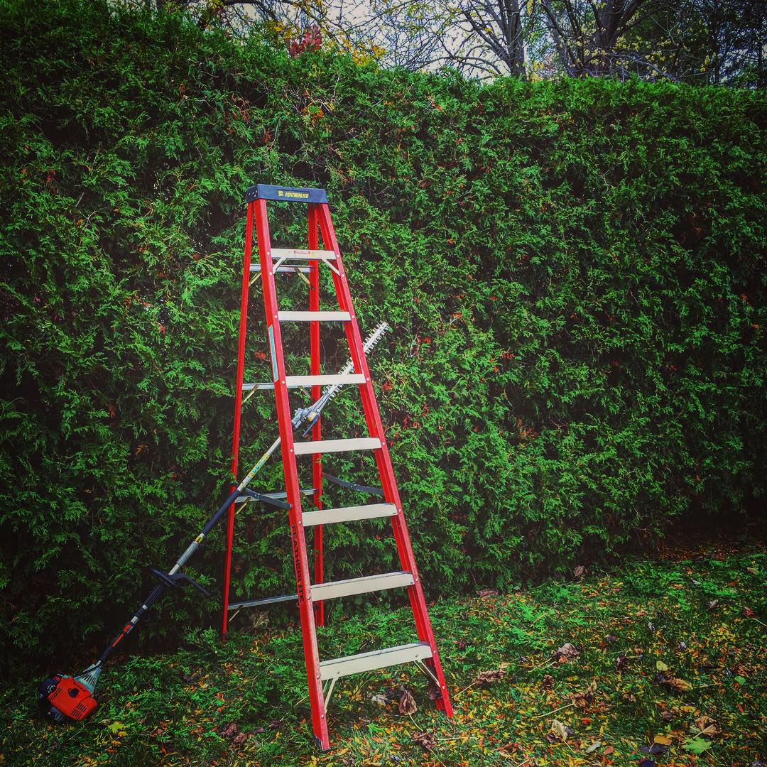 Fall trimming