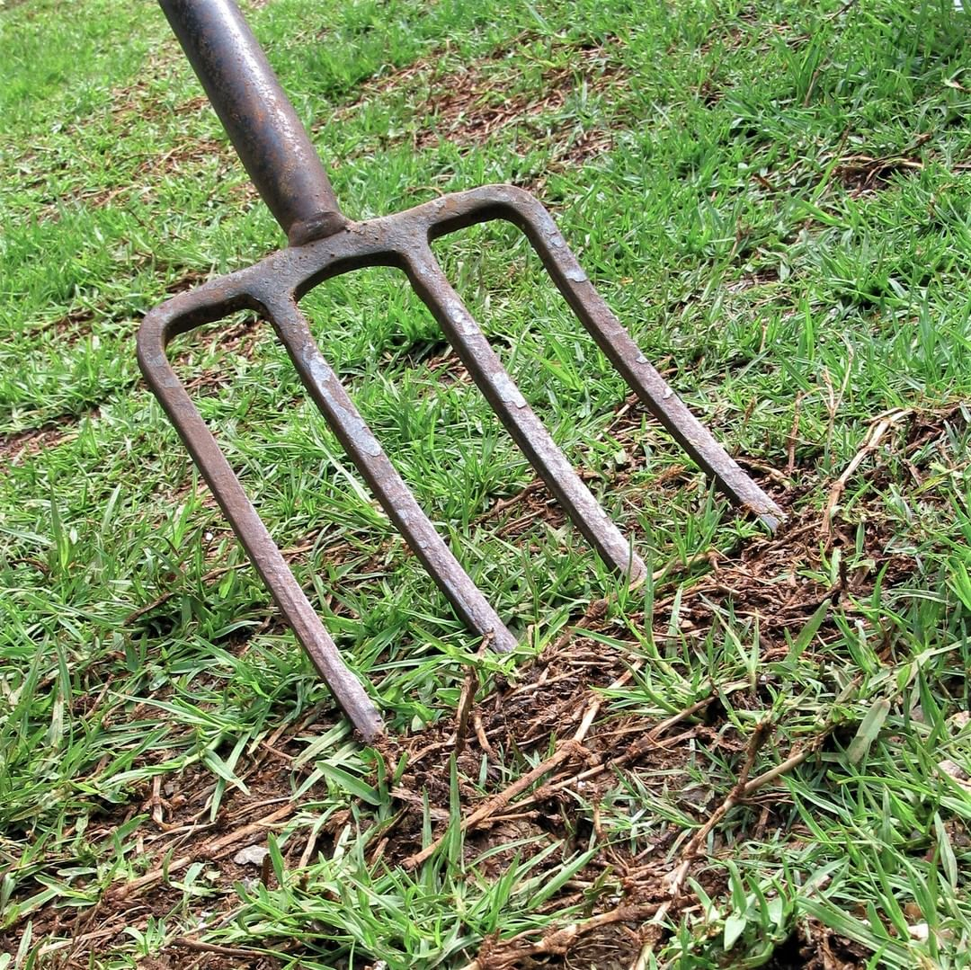 Lawn aeration
