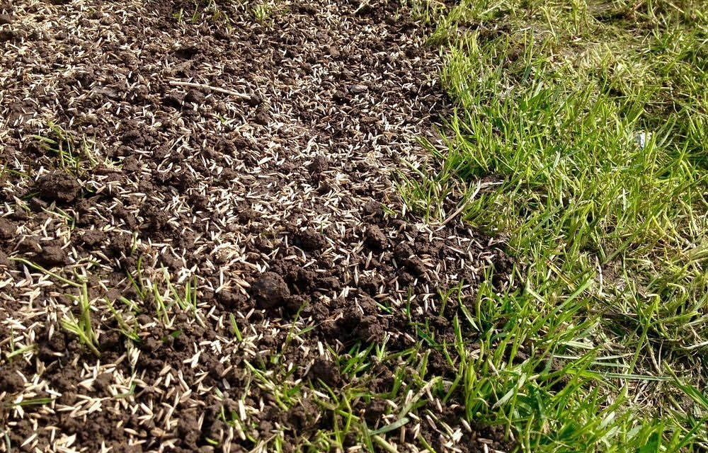 Overseeding