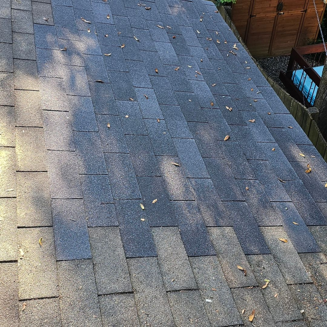 Roof shingles