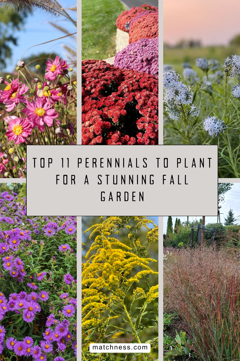 Top 11 perennials to plant for a stunning fall garden